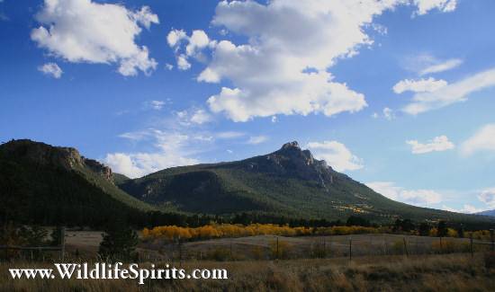 Click Picture to send as an  E-PostCard 55k 550x325